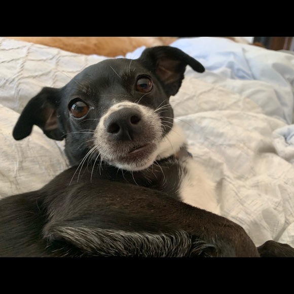 Meet your Posher, Inner - Picture 1 of 1